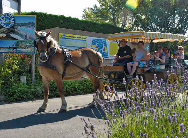Le Petit Paris Países del Loira - Château-d'Olonne visuel 24/25 Le Petit Paris Países del Loira - Château-d'Olonne visuel 24/25