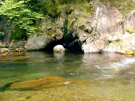 le P'tit Bonheur Languedoc-Rosellón - Escaro visuel 5/5