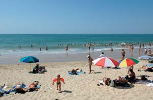 Le Puits Rochais Países del Loira - Château-d'Olonne visuel 4/10 Le Puits Rochais Países del Loira - Château-d'Olonne visuel 4/10