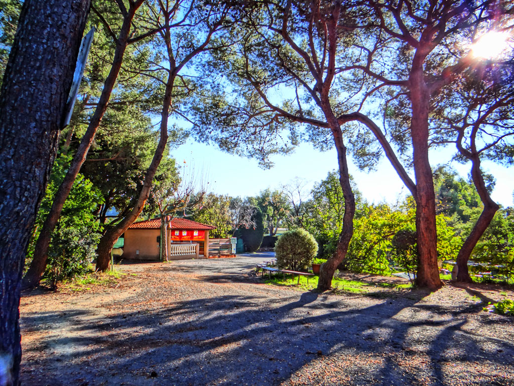 Le Ranch Provenza-Alpes-Costa Azul - Le Cannet visuel 7/10 Le Ranch Provenza-Alpes-Costa Azul - Le Cannet visuel 7/10