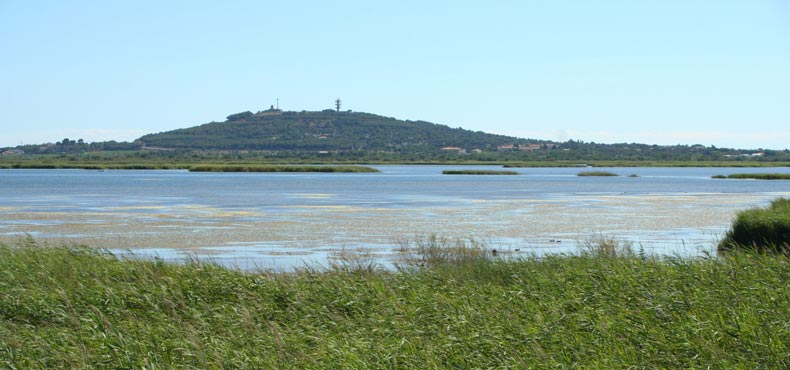 Le Rochelongue Languedoc-Rosellón - Agde visuel 13/13