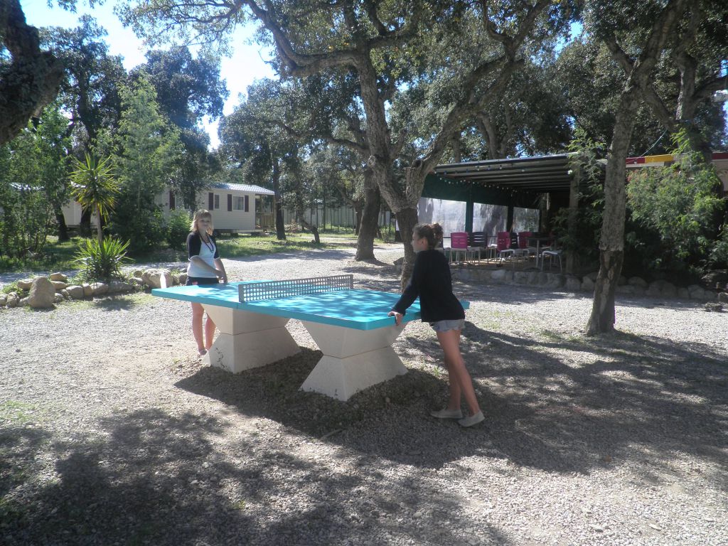 Les Chênes Rouges Languedoc-Rosellón - Argelès-sur-Mer visuel 8/11 Les Chênes Rouges Languedoc-Rosellón - Argelès-sur-Mer visuel 8/11