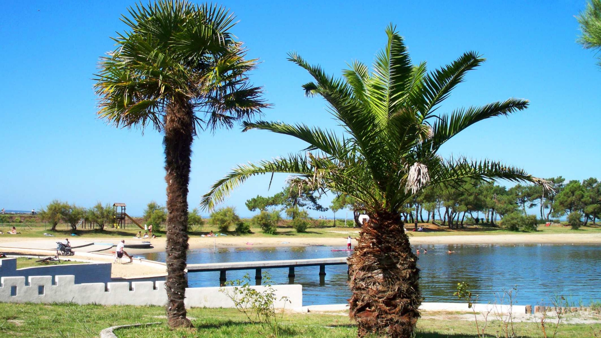 Le Roumingue Aquitania - Lanton visuel 6/10