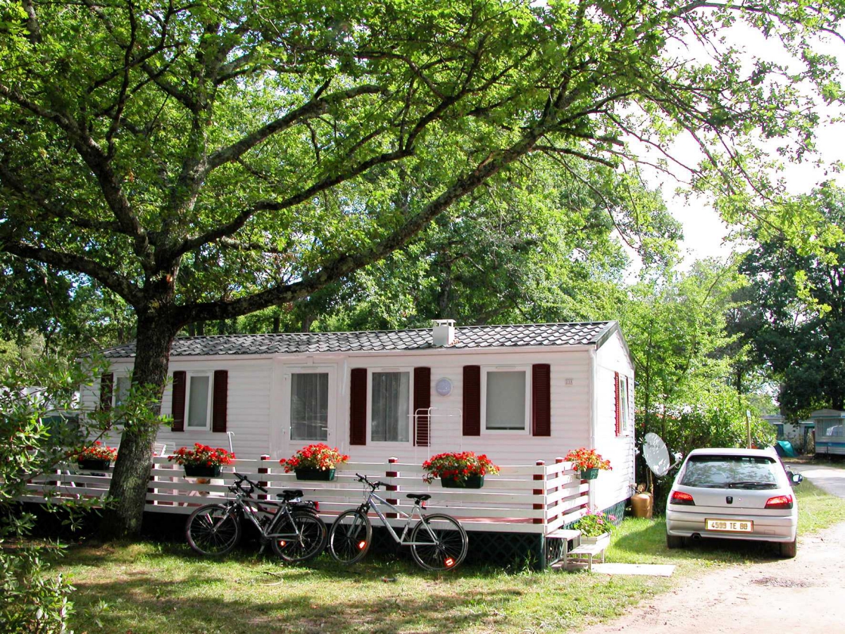 Le Roumingue Aquitania - Lanton visuel 7/10