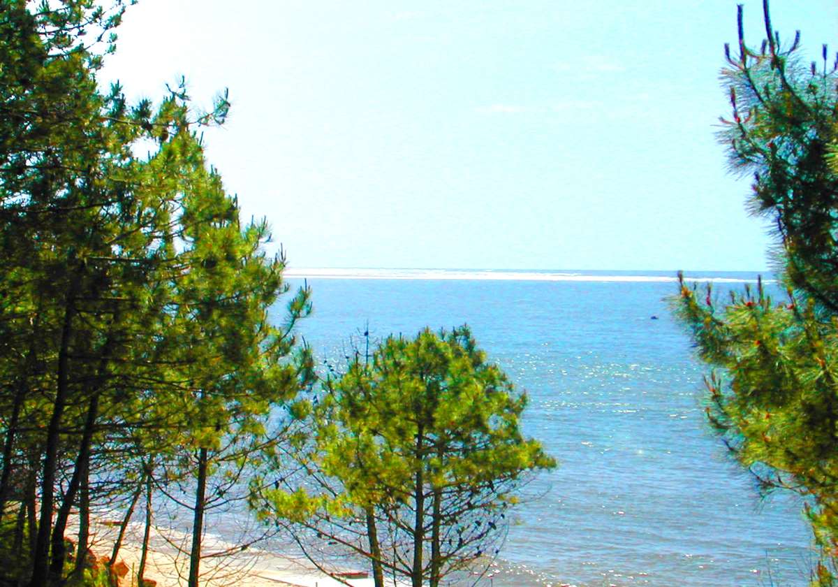 Le Roumingue Aquitania - Lanton visuel 10/10