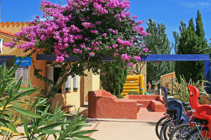 Le Roussillon Languedoc-Rosellón - Saint-Cyprien visuel 8/11 Le Roussillon Languedoc-Rosellón - Saint-Cyprien visuel 8/11