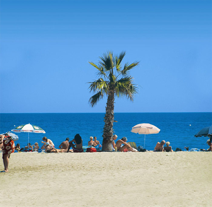 Le Roussillon Languedoc-Rosellón - Saint-Cyprien visuel 11/11 Le Roussillon Languedoc-Rosellón - Saint-Cyprien visuel 11/11