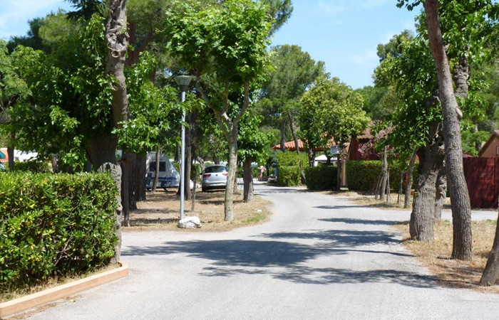 Le Roussillonnais Languedoc-Rosellón - Argelès-sur-Mer visuel 5/7