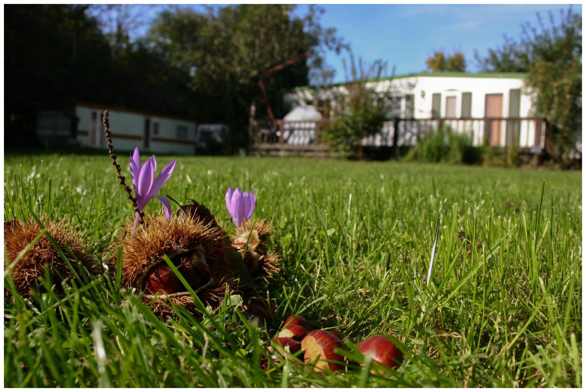 Le Rural Mediodía-Pirineos - Tibiran-Jaunac visuel 3/4
