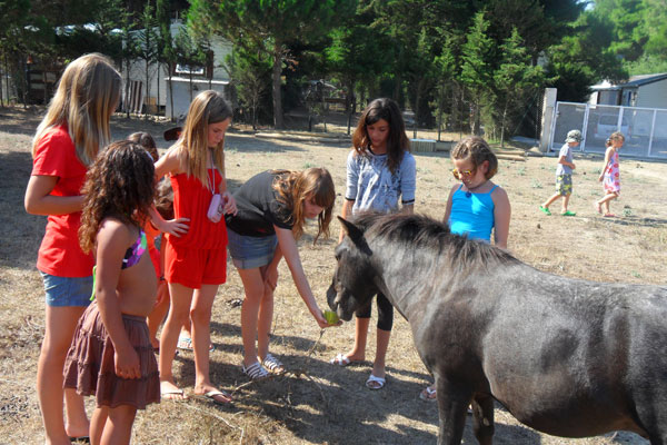 Le Sainte Marie Languedoc-Rosellón - Sainte Marie la Mer visuel 10/12