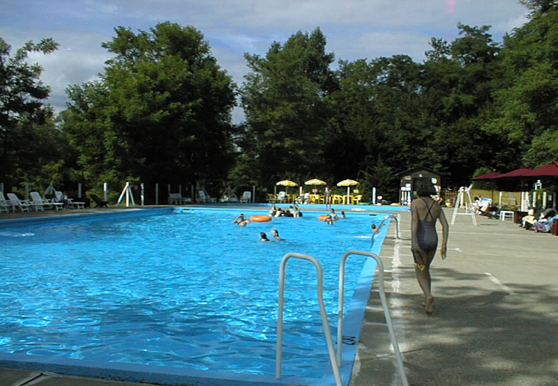 Le Saulou Limosín - Monceaux-sur-Dordogne visuel 1/1 Le Saulou Limosín - Monceaux-sur-Dordogne visuel 1/1