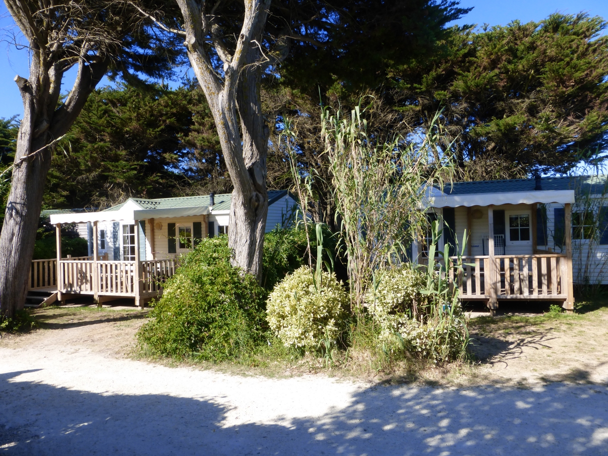 Le Soleil Poitou-Charentes - Ars-en-Ré visuel 3/5 Le Soleil Poitou-Charentes - Ars-en-Ré visuel 3/5