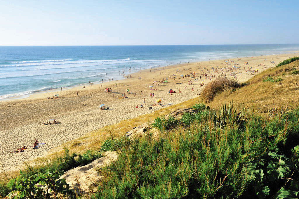 Le Soleil des Landes Aquitania - Lit-et-Mixe visuel 15/16 Le Soleil des Landes Aquitania - Lit-et-Mixe visuel 15/16