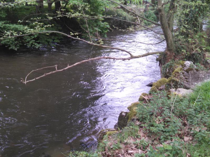 Le Soulhol Mediodía-Pirineos - Saint-Céré visuel 8/8 Le Soulhol Mediodía-Pirineos - Saint-Céré visuel 8/8