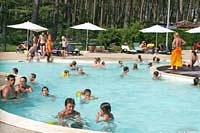 Le Tatiou Aquitania - Bias visuel 8/10