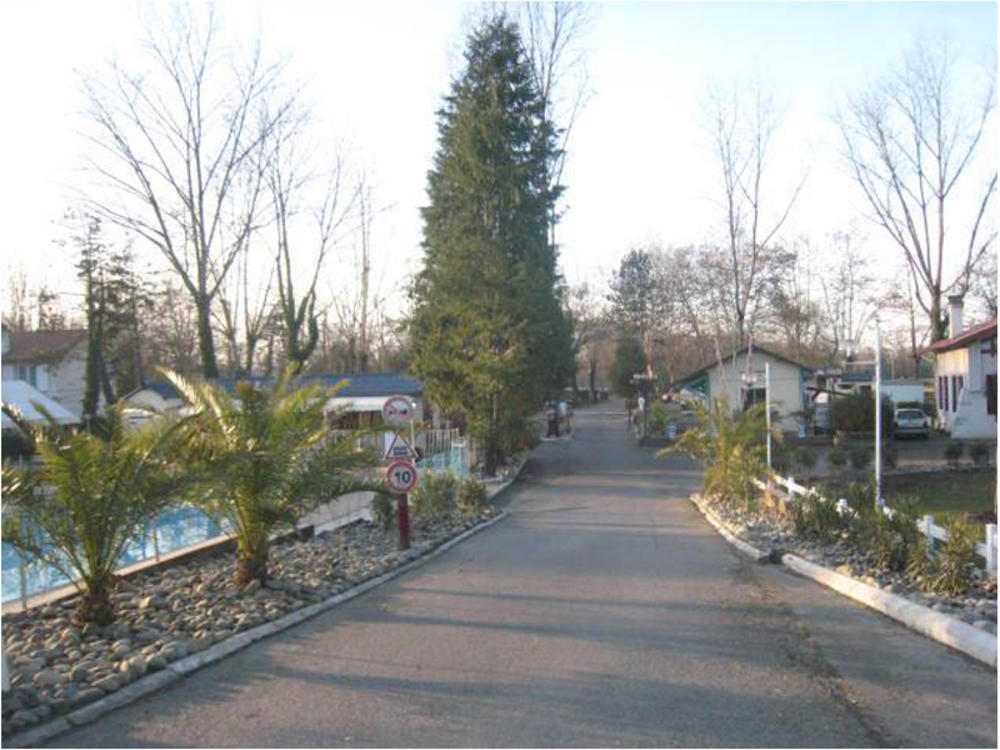 Le Terrier Aquitania - Lescar visuel 1/1 Le Terrier Aquitania - Lescar visuel 1/1