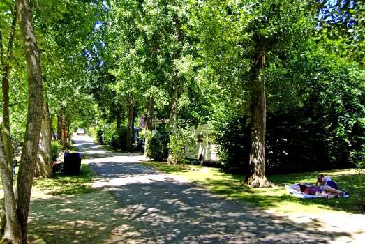 Le Tiradou Aquitania - Saint-Vincent-de-Cosse visuel 9/10