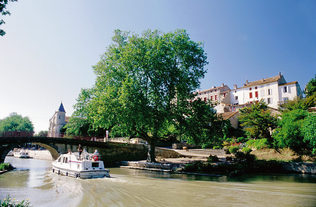 Le Val de Cesse Languedoc-Rosellón - Mirepeisset visuel 12/15