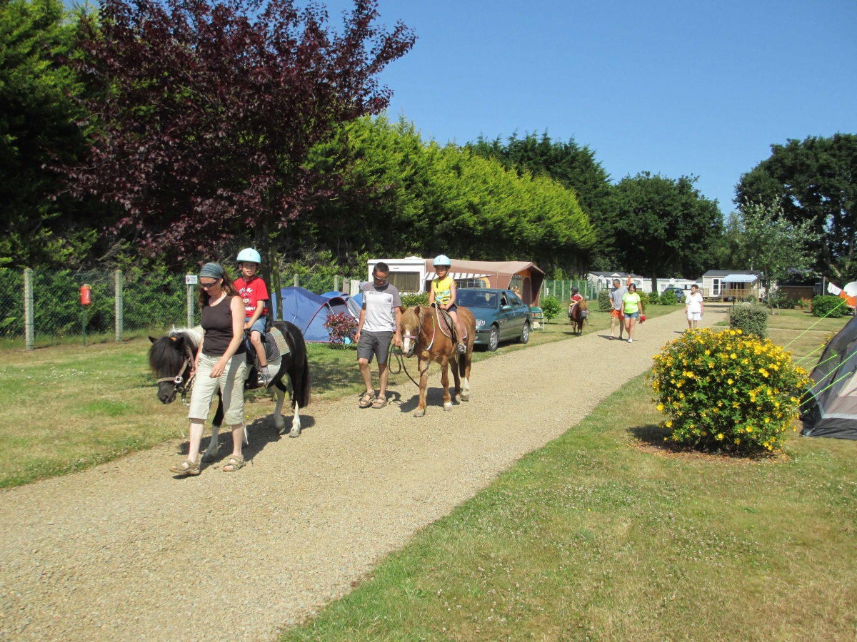 Le Varquez-sur-Mer Bretaña - Plouha visuel 6/9