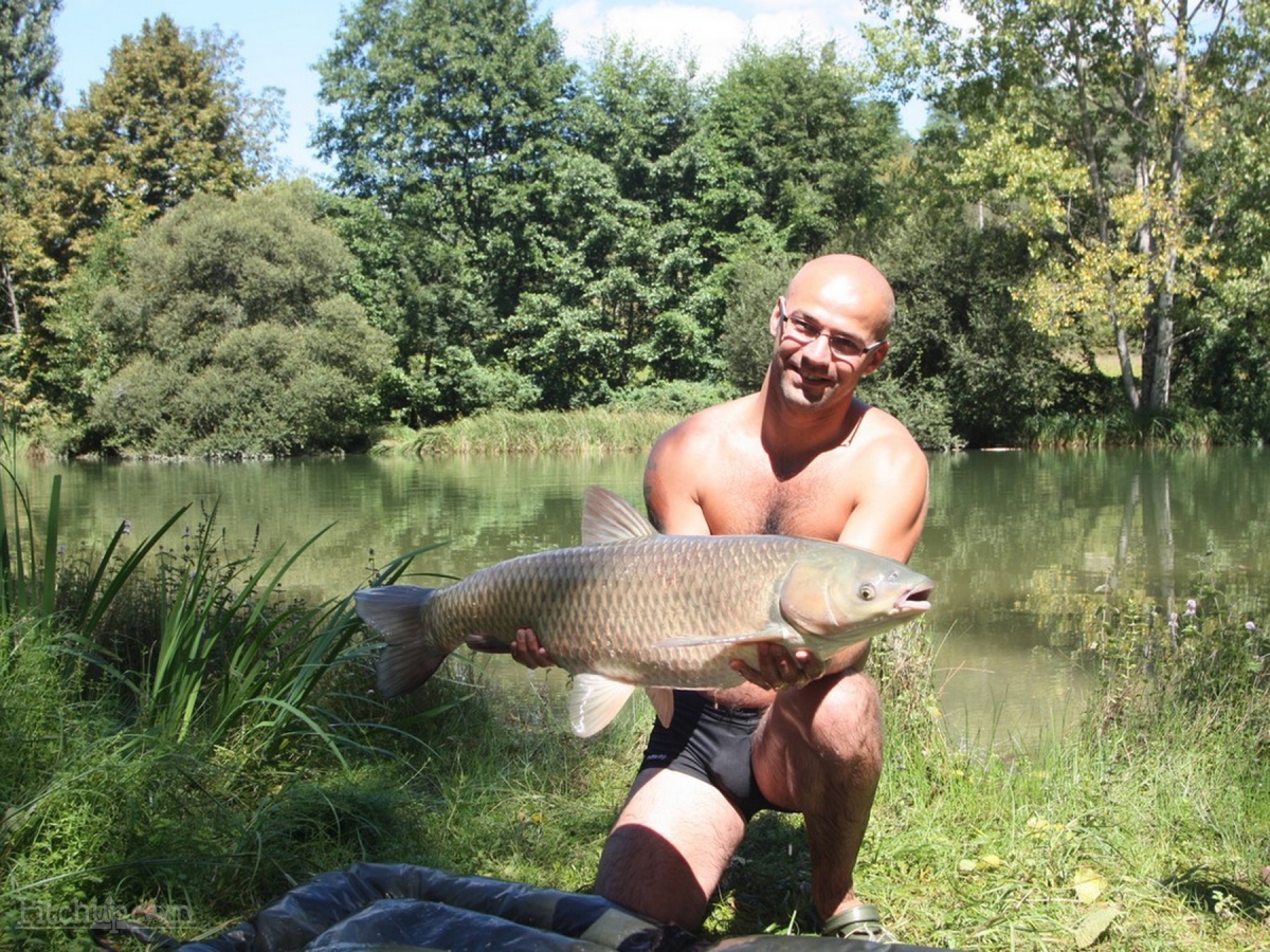 Le Verdoyant  Aquitania - Thenon visuel 4/6