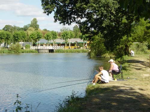 Le Vieux Chêne Bretaña - Dol-de-Bretagne visuel 9/11