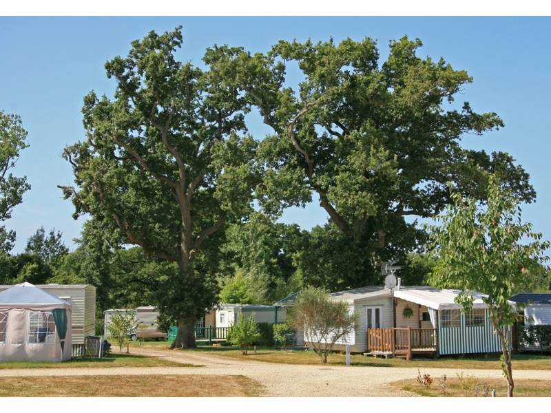 Le Village de Florine Países del Loira - Coëx visuel 6/11 Le Village de Florine Países del Loira - Coëx visuel 6/11