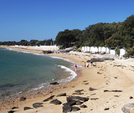 Le Village de la Mer Países del Loira - Les Moutiers en Retz visuel 4/11
