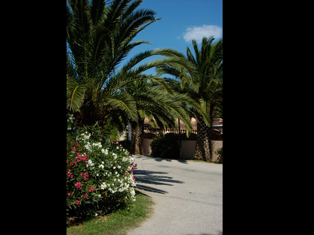 Le Village Del Mar Languedoc-Rosellón - Argelès-sur-Mer visuel 7/11