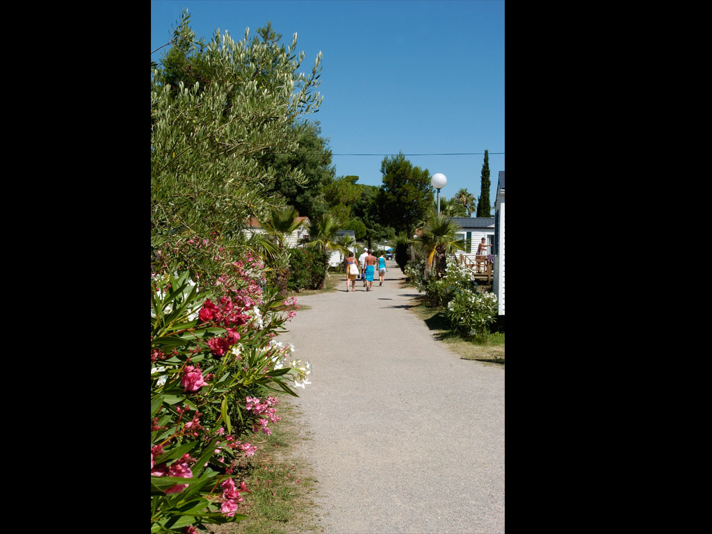 Le Village Del Mar Languedoc-Rosellón - Argelès-sur-Mer visuel 8/11