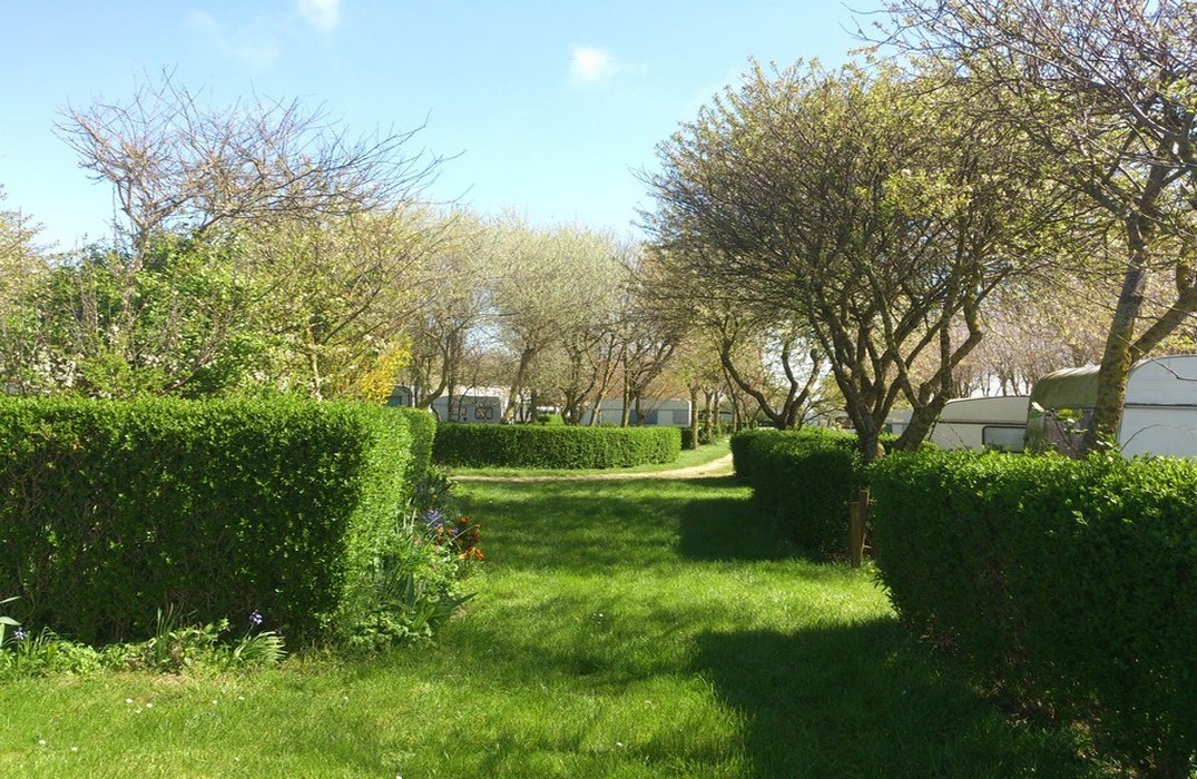 Le Voyeul Picardía - Cayeux-sur-Mer visuel 1/1 Le Voyeul Picardía - Cayeux-sur-Mer visuel 1/1