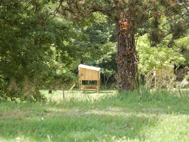 l'Ecrin Nature Limosín - Ambazac visuel 9/10