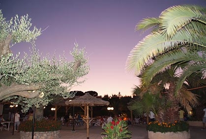 Leï Suves Provenza-Alpes-Costa Azul - Roquebrune-sur Argens visuel 4/10