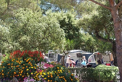 Leï Suves Provenza-Alpes-Costa Azul - Roquebrune-sur Argens visuel 9/10