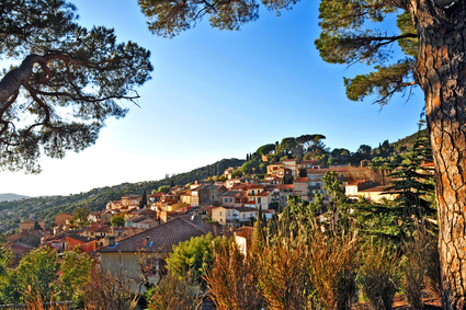 Lei Suves Provenza-Alpes-Costa Azul - Le Lavandou visuel 1/1