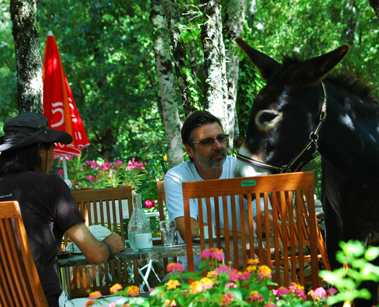 Les 3 Cantons Mediodía-Pirineos - Saint-Antonin-Noble-Val visuel 10/10