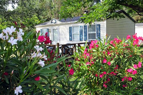 Les Abricotiers Languedoc-Rosellón - Argelès-sur-Mer visuel 3/10 Les Abricotiers Languedoc-Rosellón - Argelès-sur-Mer visuel 3/10
