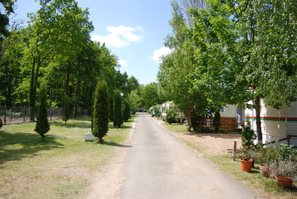 Les Acacias centro valle - La Ville-aux-Dames visuel 8/10