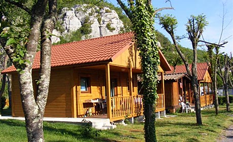 Les Actinidias Ródano-Alpes - Berrias et Casteljau visuel 2/6