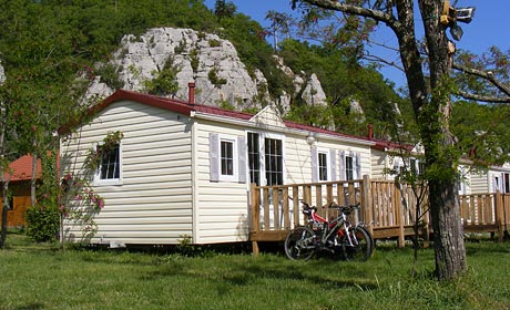 Les Actinidias Ródano-Alpes - Berrias et Casteljau visuel 4/6