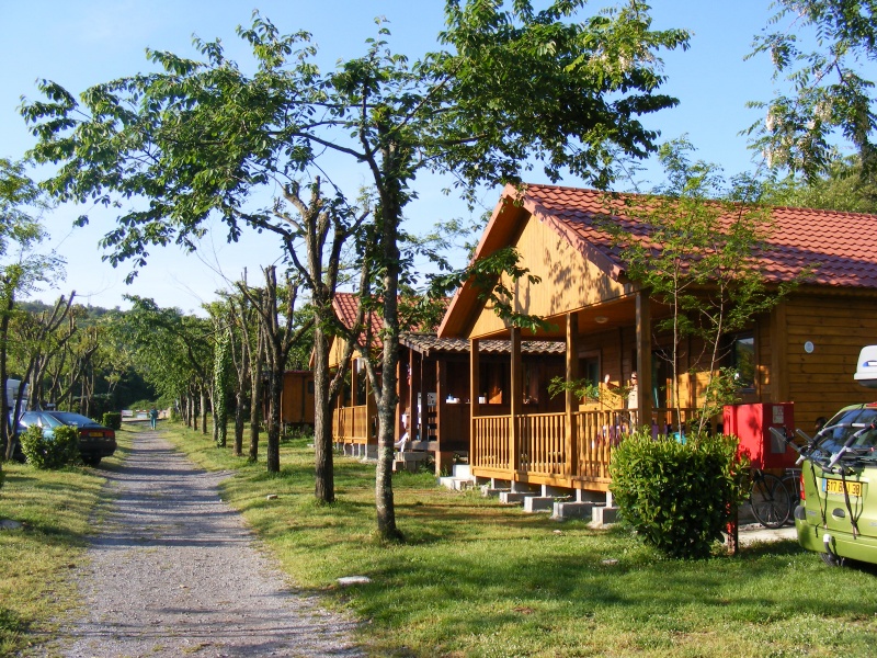 Les Actinidias Ródano-Alpes - Berrias et Casteljau visuel 5/6