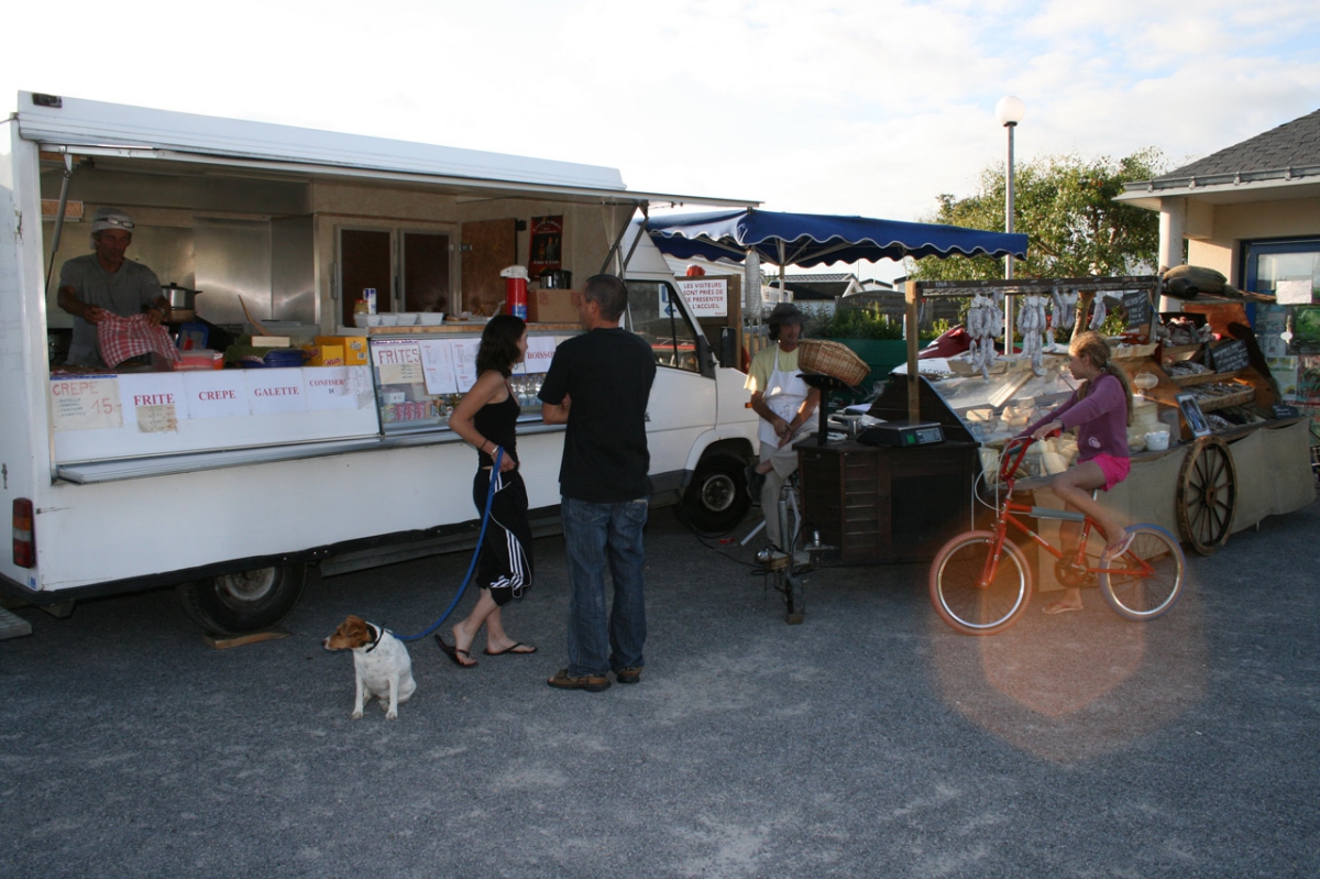 Les Ajoncs d'Or Bretaña - Damgan visuel 1/1