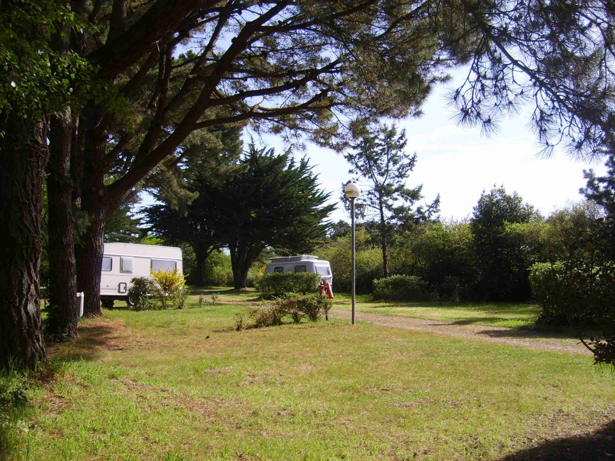 Les Ajoncs d'Or Países del Loira - La Baule-Escoublac visuel 15/42