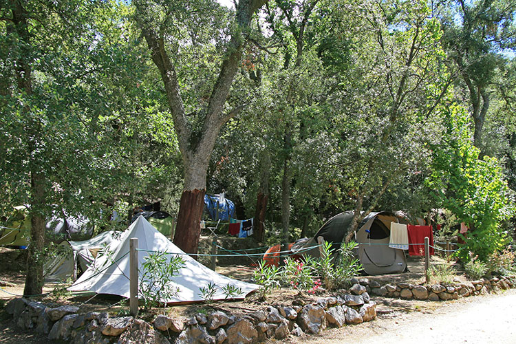 Les Albères Languedoc-Rosellón - Laroque-des-Albères visuel 18/31 Les Albères Languedoc-Rosellón - Laroque-des-Albères visuel 18/31