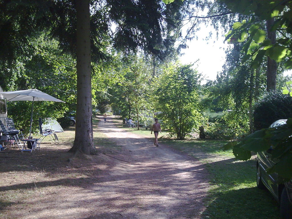 Les Araucarias Picardía - Carlepont visuel 1/1 Les Araucarias Picardía - Carlepont visuel 1/1