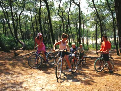 Les Arbousiers Provenza-Alpes-Costa Azul - Carqueiranne visuel 5/9