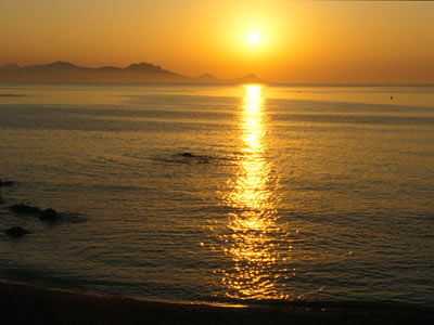 Les Arbousiers Provenza-Alpes-Costa Azul - Carqueiranne visuel 9/9