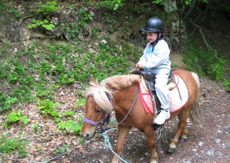 Les Auches Provenza-Alpes-Costa Azul - Ancelle visuel 5/11 Les Auches Provenza-Alpes-Costa Azul - Ancelle visuel 5/11