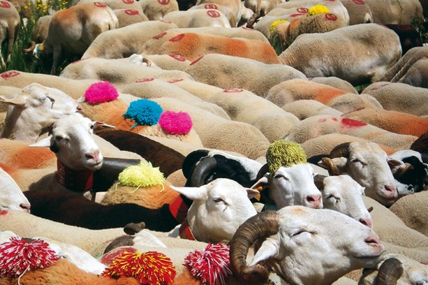 Les Bouldouïres Languedoc-Rosellón - La Salvetat-sur-Agout visuel 6/10 Les Bouldouïres Languedoc-Rosellón - La Salvetat-sur-Agout visuel 6/10