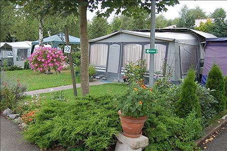 Les Bouleaux Alsacia - Ranspach visuel 3/10 Les Bouleaux Alsacia - Ranspach visuel 3/10