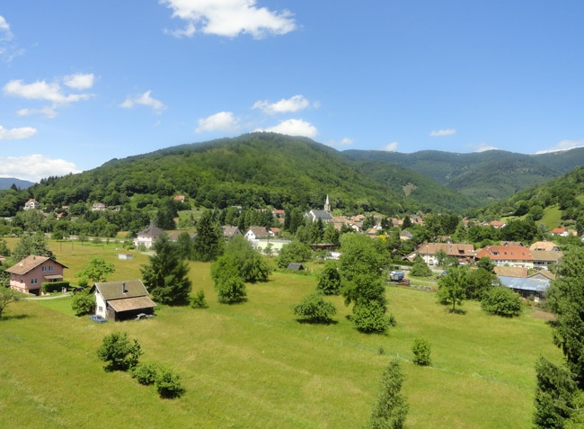 Les Bouleaux Alsacia - Ranspach visuel 10/10 Les Bouleaux Alsacia - Ranspach visuel 10/10